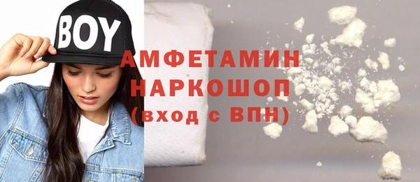 индика Алзамай